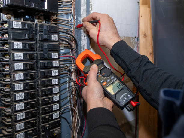 Best Electric Panel Repair  in Lavon, TX